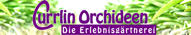 Currlin Orchideen